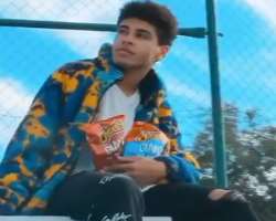 The star promotes numerous brands like Cheetos Giants through different social media platforms.